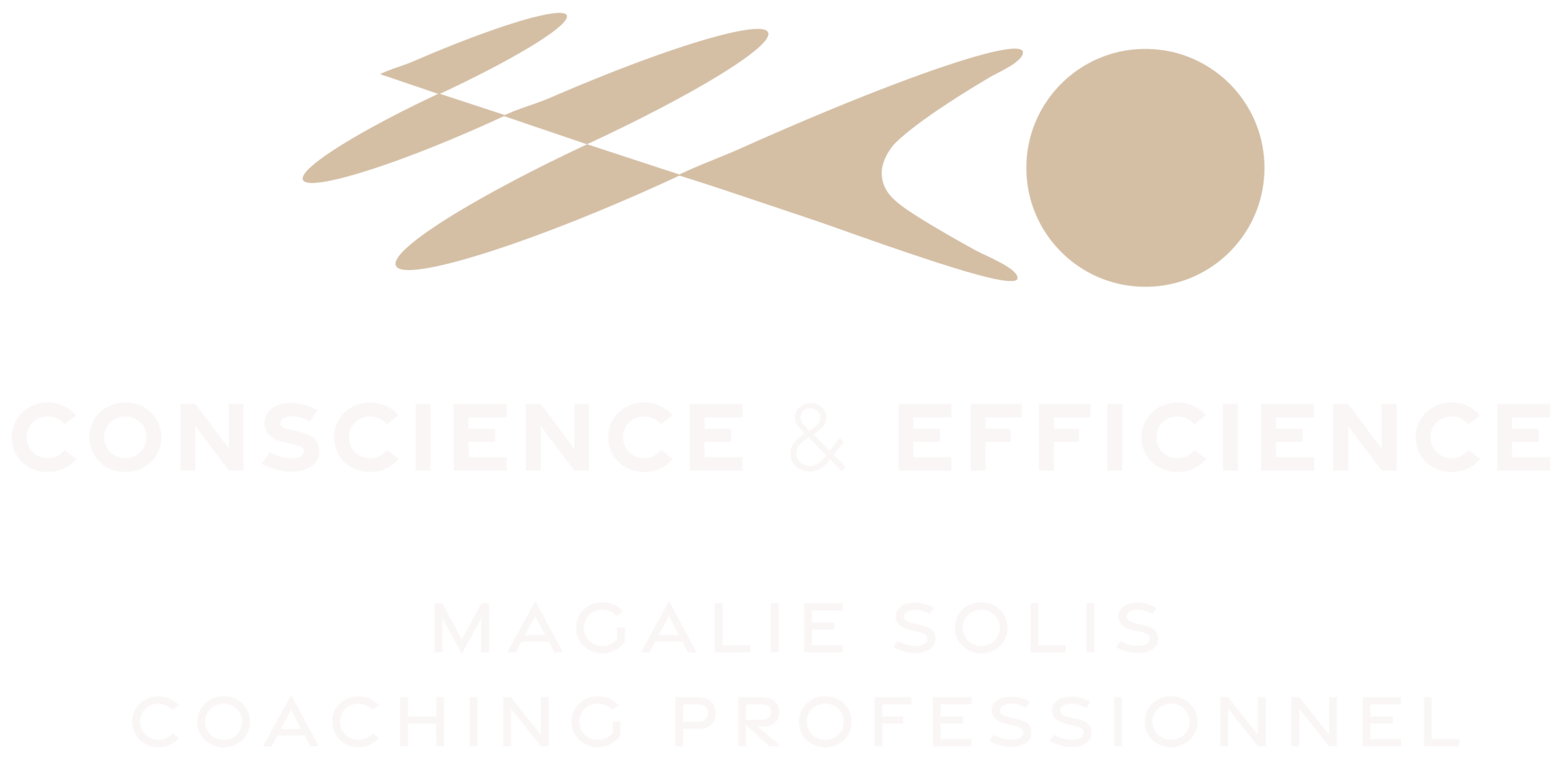 logo light